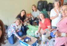 Última recolección de metales del año 2023