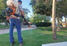 Se dio inicio a la fumigación preventiva contra los mosquitos