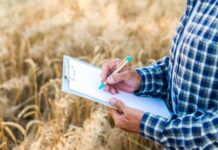 Comienza a regir la percepción del impuesto a los ingresos brutos por la mera compra de productos agropecuarios