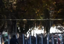 Karting provincial de asfalto: Josecito Rostagno