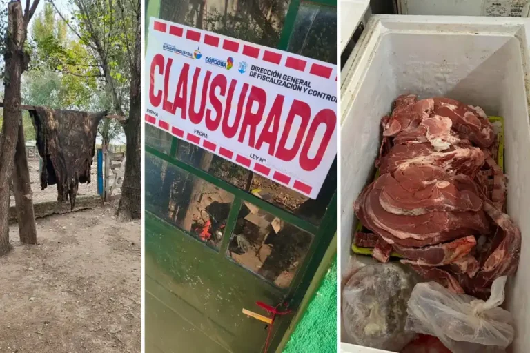 Clausuraron establecimientos de faenamiento por falta de condiciones y habilitaciones correspondientes