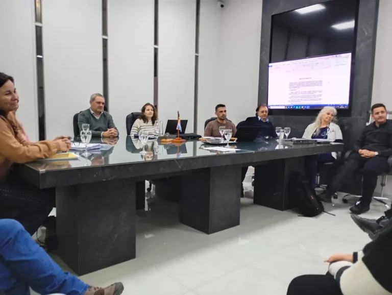 El bloque de concejales de Somos Hernando presentó nuevamente el proyecto de ordenanza que crea el portal de transparencia de gestión económica de la Municipalidad